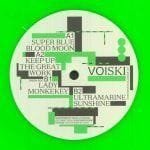 Voiski - Unforeseen Alliance 3