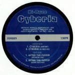 Hi-Ryze ‎– Cyberia / After The Flood