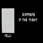 Felli – Diamond In The Night
