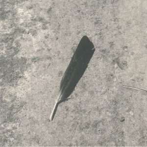 Function – Green EP