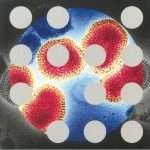 More Influenza – Kontrol