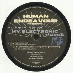 Acoustic Vision – My Electronic PulseAcoustic Vision – My Electronic Pulse